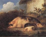 George Morland, A Sow and Her Piglets